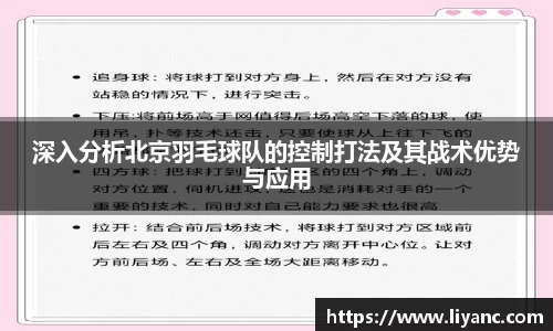 深入分析北京羽毛球队的控制打法及其战术优势与应用